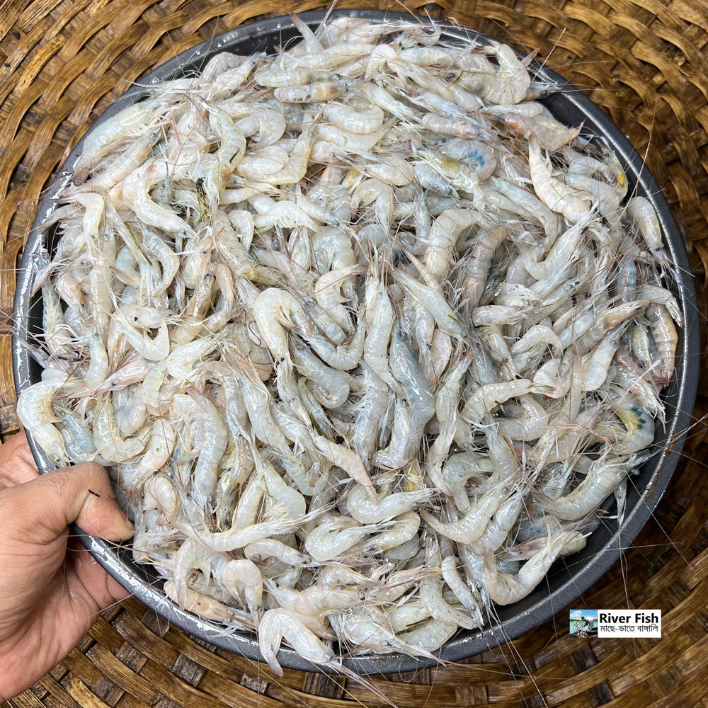 নদীর তরকারির চিংড়ি (সাদা) হাফ কেজি