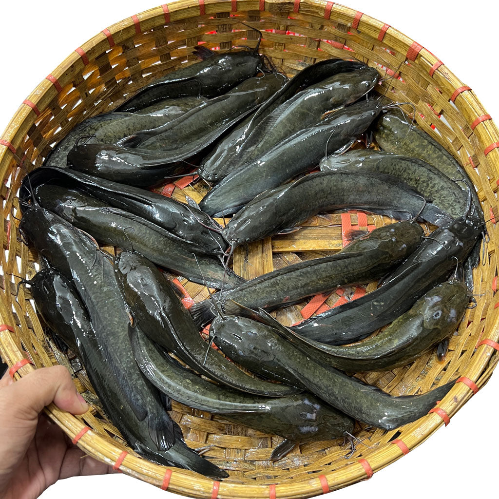 Bhur Fish পুকুর আইটেম – River Fish
