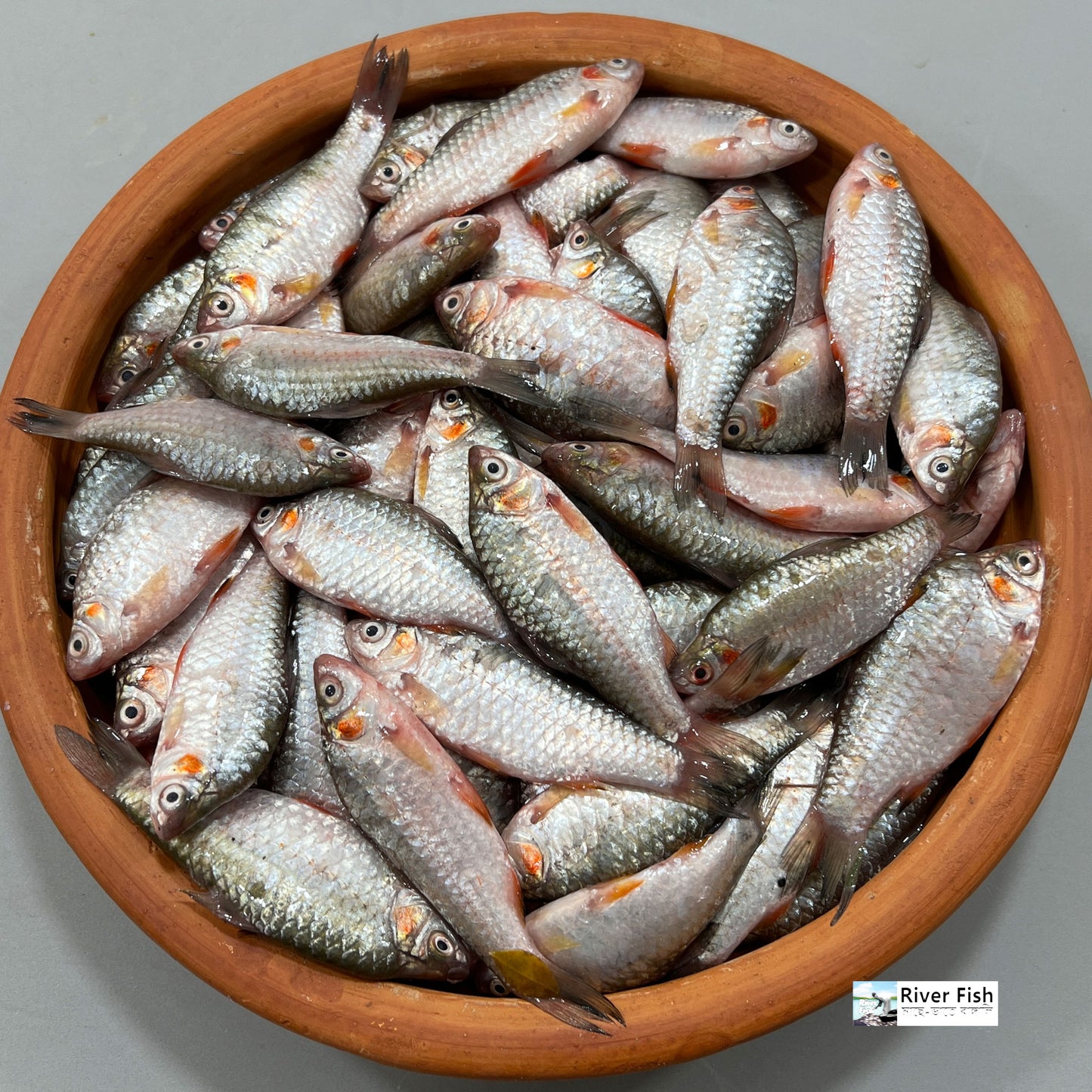 হাওরের দেশি পুটি মিক্সড সাইজ