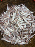 নদীর কাজুলি