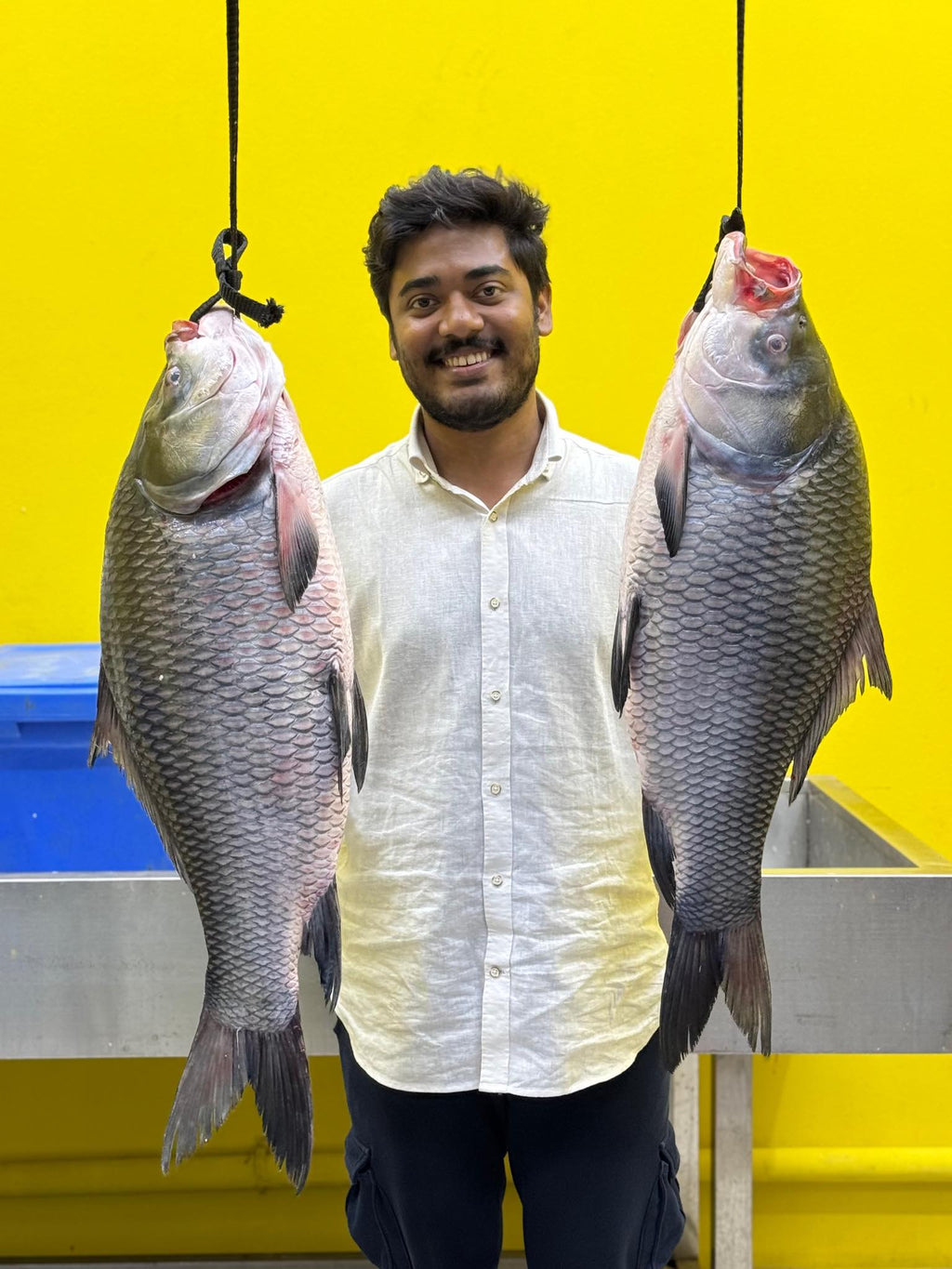 নদীর কাতল- ৯ থেকে ১০ কেজি সাইজ পারকেজি- ১২০০/-