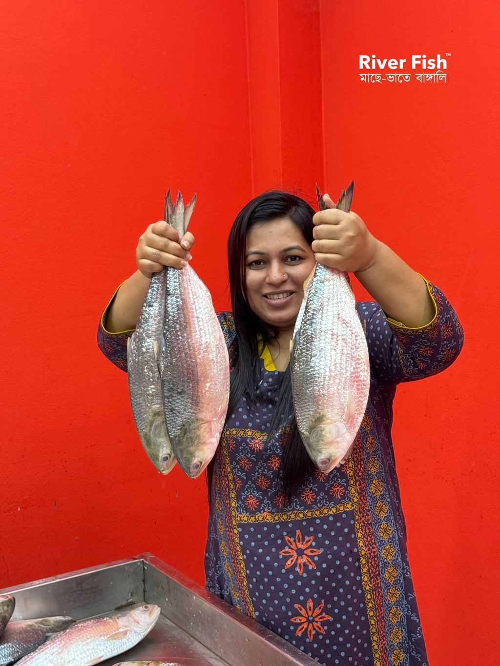 চাঁদপুরের লোকাল ইলিশ- ৯০০ গ্রাম - ১ কেজি সাইজ পারকেজি ২৮৯০/-