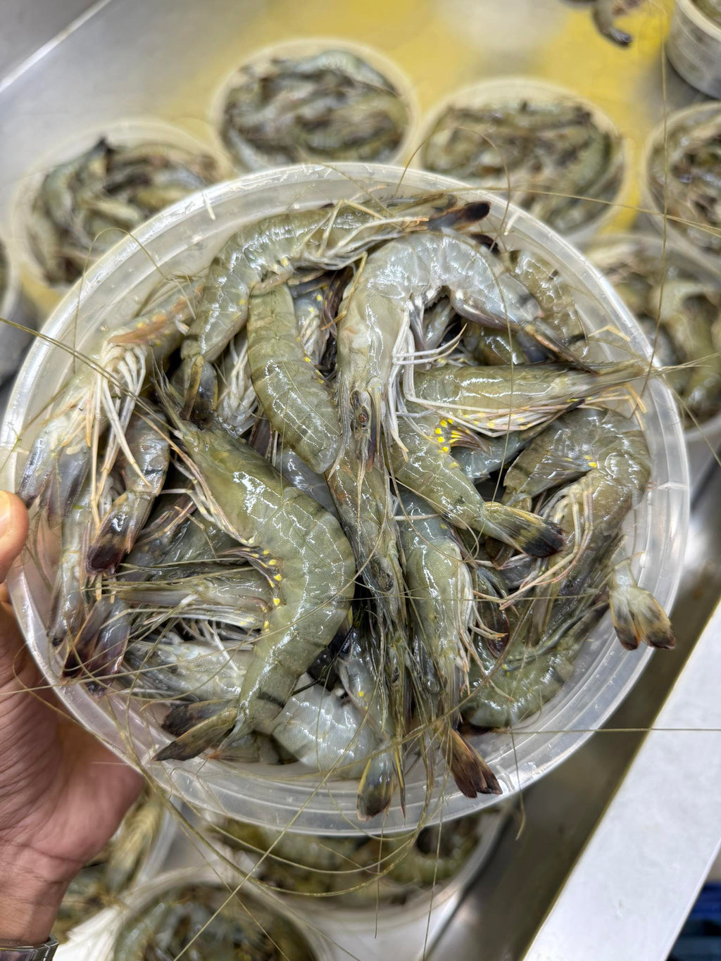 বাগদা চিংড়ি সবজির জন্য