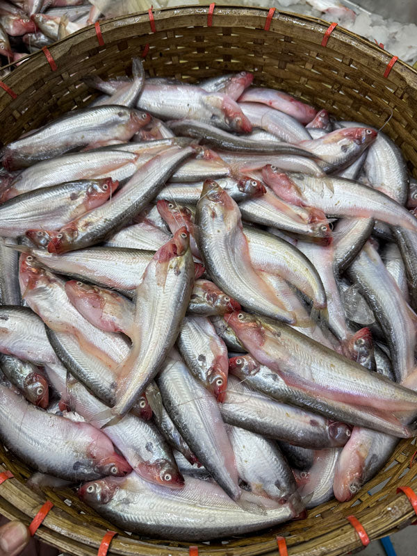 বিলের পাবদা (কেজিতে ১৫ থেকে ১৮ পিস) ১ কেজি