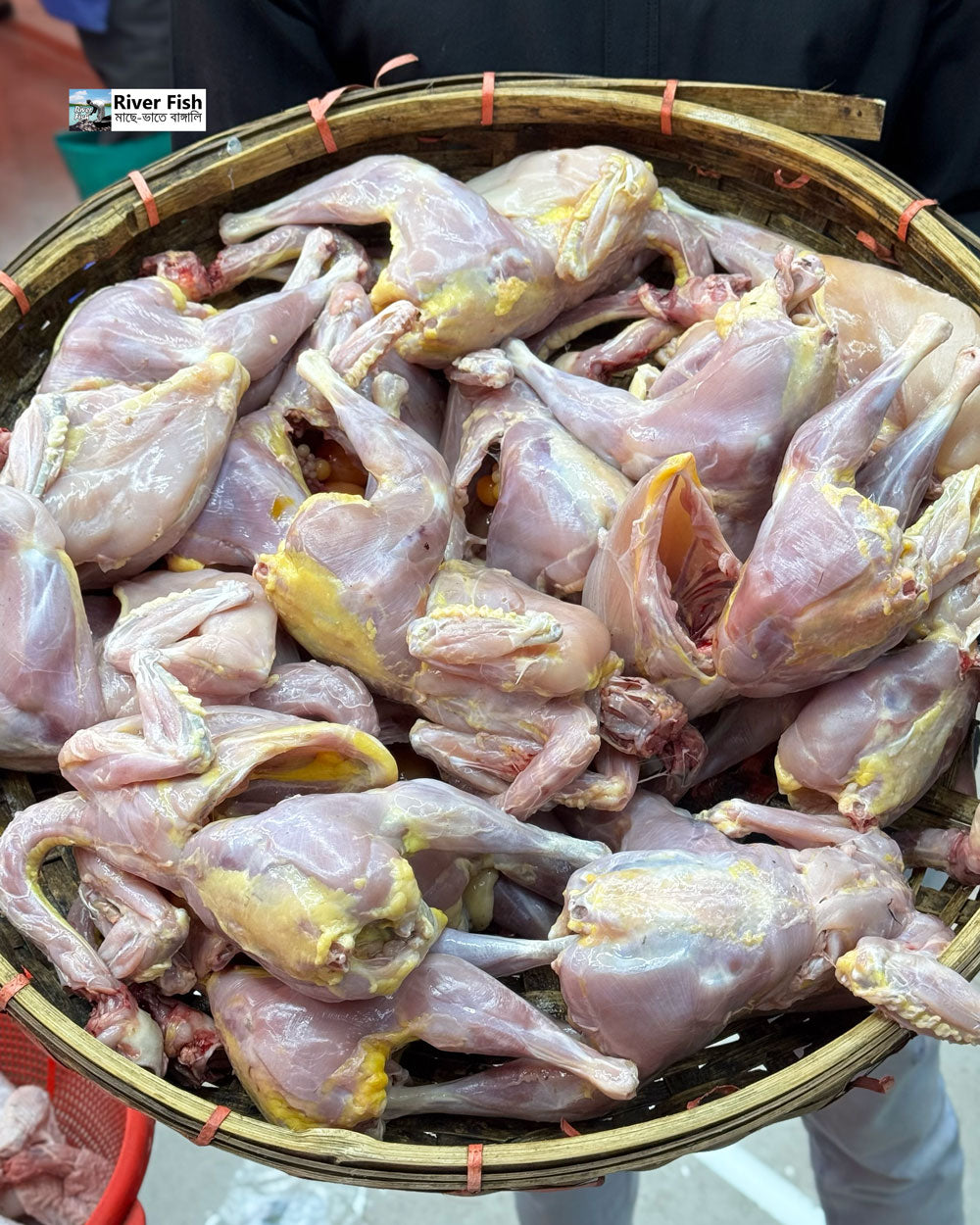 গ্রামের দেশি মুরগি (ডিমপাড়া তেলওয়ালা) লাইভ ওয়েট ৯০০/৯৫০ গ্রাম সাইজ