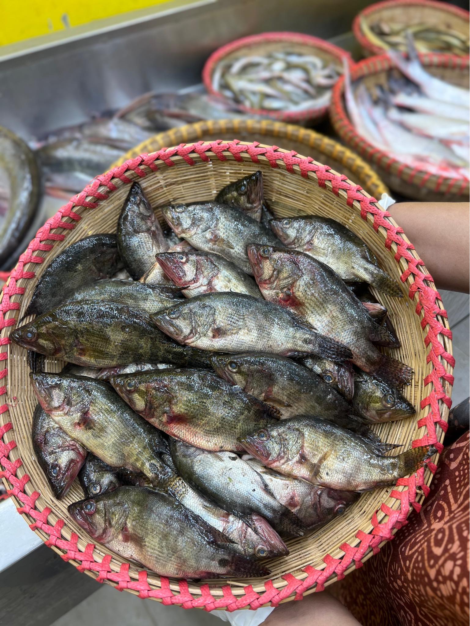 হাওরের মেনি মাছ (কেজিতে ২০/২৫ পিস)