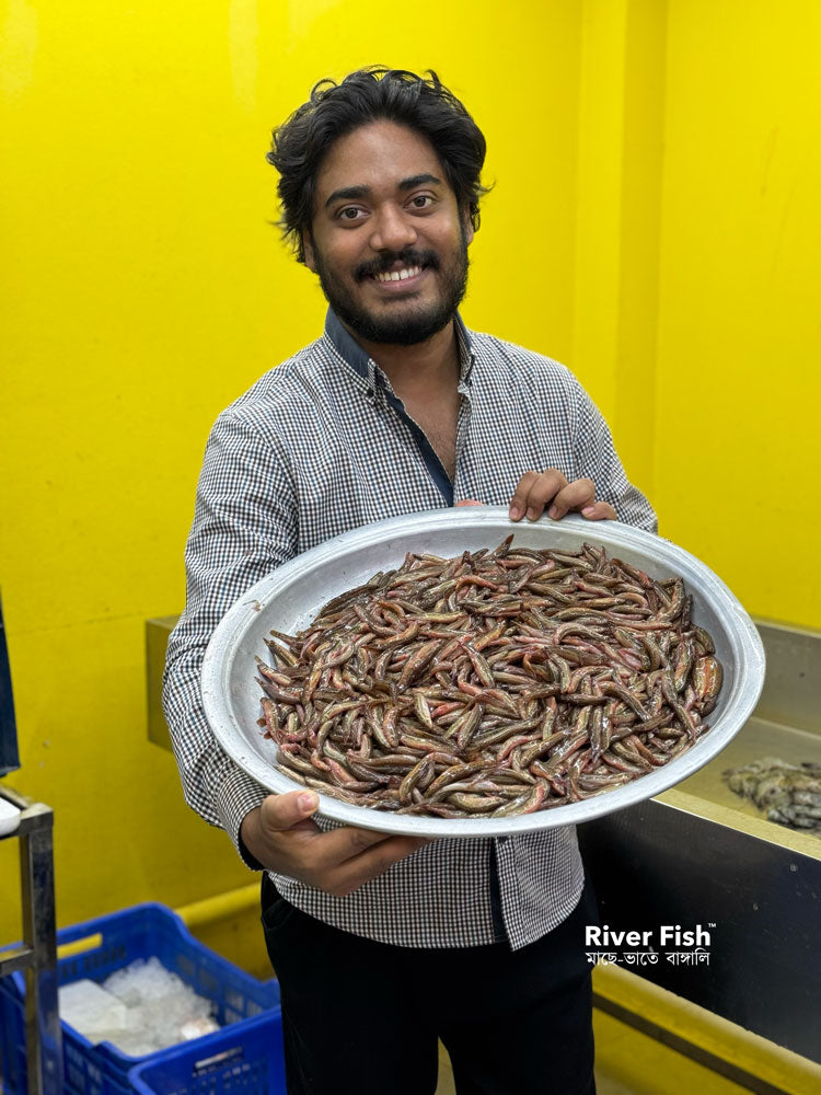 দেশি গুতুম মাছ / বুতুম মাছ ছোট সাইজ