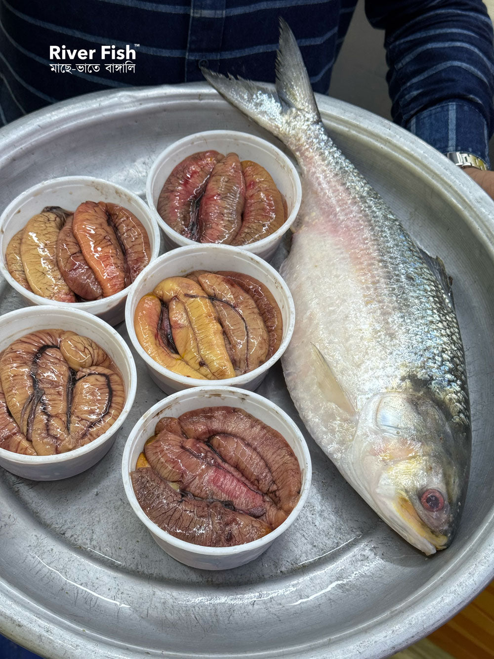 ইলিশের ডিম (প্রি-অর্ডার বুকিং - ডেলিভারি টাইম ৭ দিন)