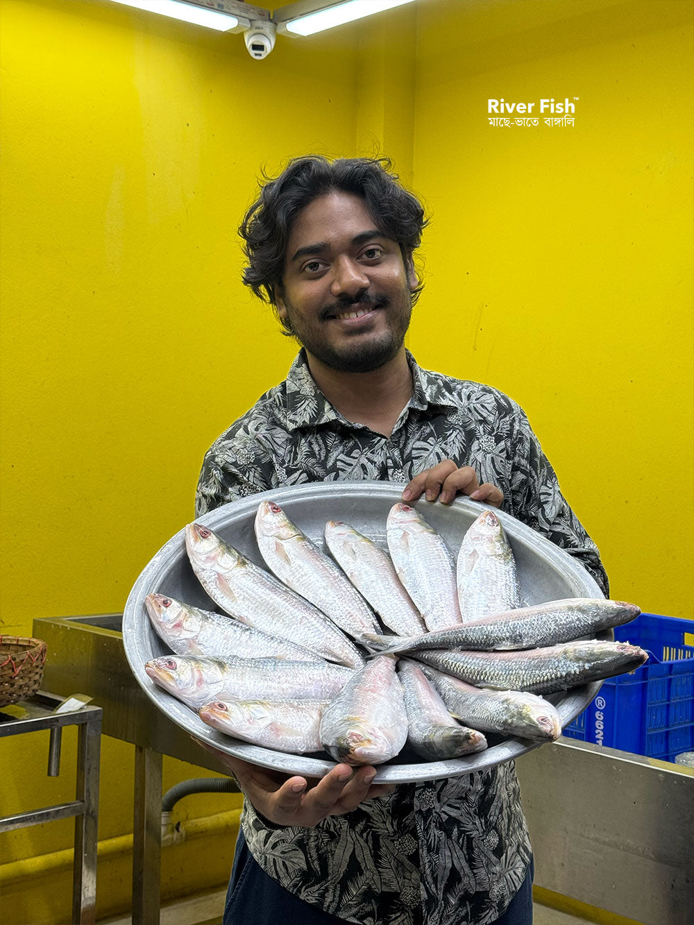 চাঁদপুরের লোকাল ইলিশ ৪০০/৫০০ গ্রাম সাইজ