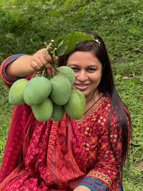 চাঁপাইনবাবগঞ্জের হিমসাগর আম