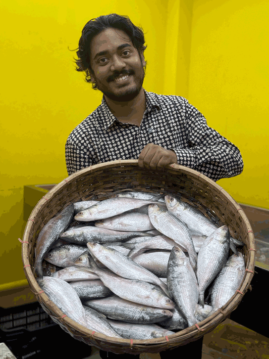 চাঁদপুরের লোকাল ইলিশ কেজিতে ৩/৪ পিস পারকেজি (মেগা অফার প্রাইস ১২০০/-)