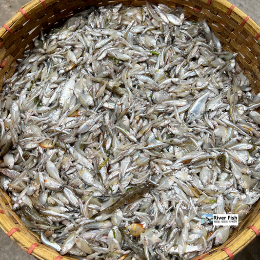 হাওড়ের গুড়া মিশালি