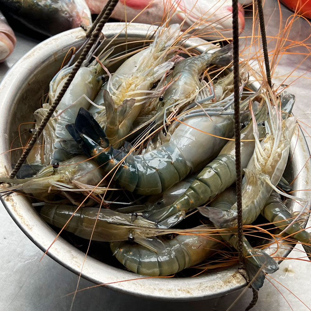 মোংলার তাজা গলদা চিংড়ি ৬/৭ পিসে কেজি সাইজ