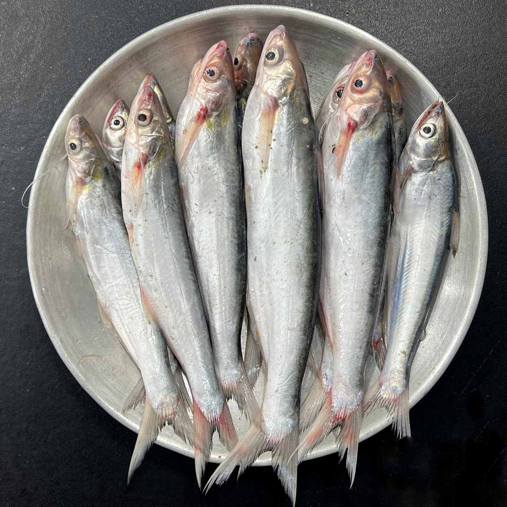 নদীর গাংবাচা (৭-৮ পিসে কেজি) হাফ কেজি