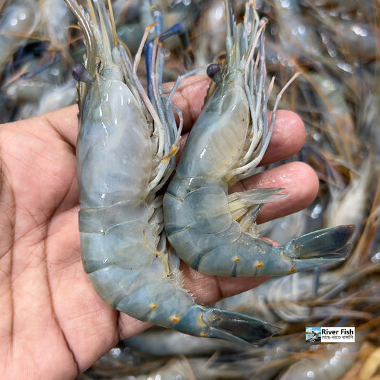 নদীর গলদা ৯/১০ পিসে কেজি