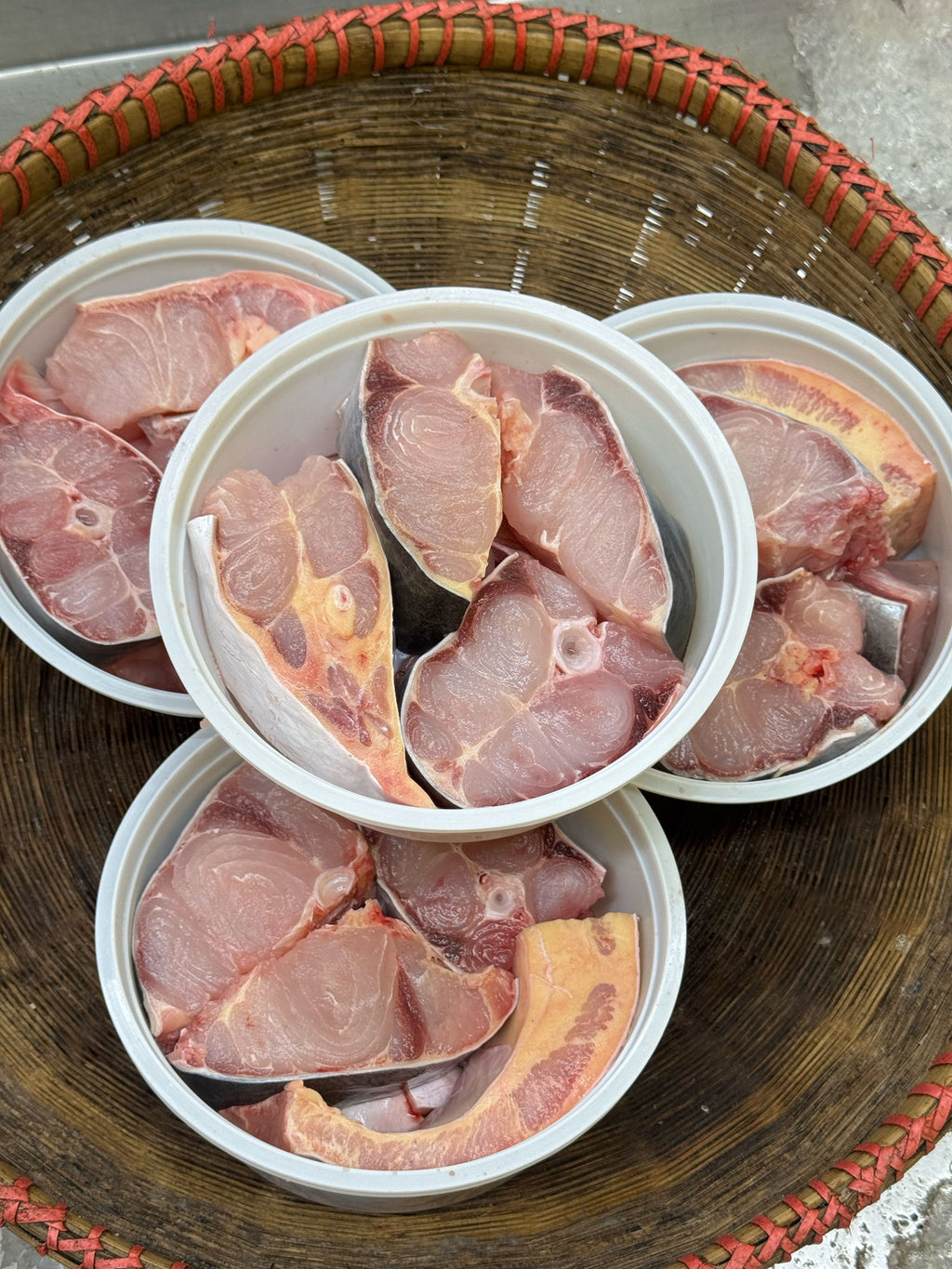 নদীর পাংগাসের ভাগা অফার