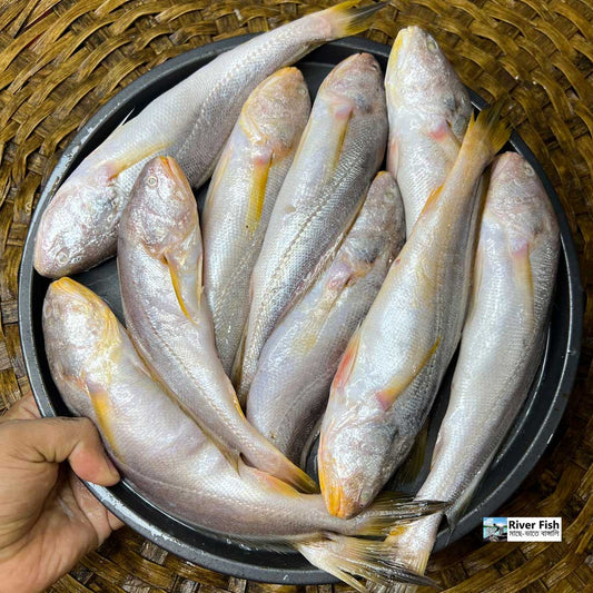 নদীর পোয়া মাছ রেগুলার সাইজ ১ কেজি