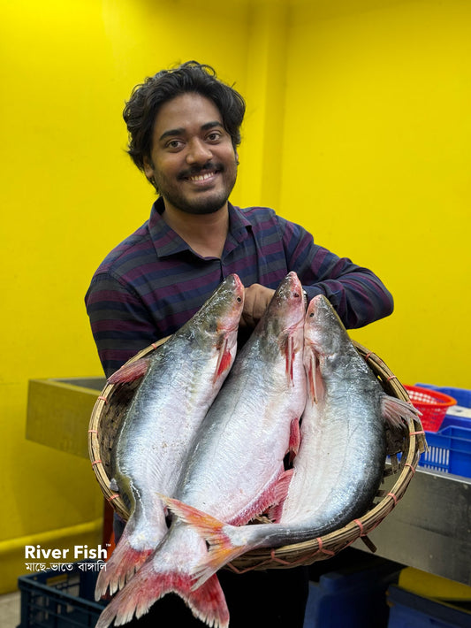 চাঁদপুরের নদীর পাংগাস- ৩ থেকে সারে ৪ কেজি সাইজ পারকেজি 1250/-