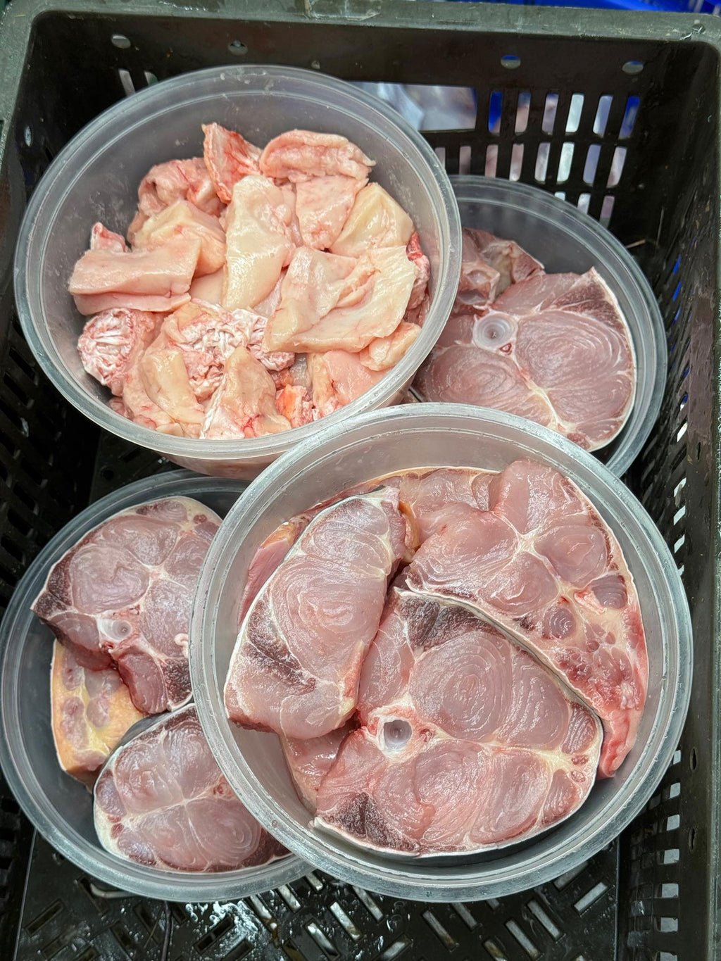 নদীর পাংগাসের ভাগা অফার