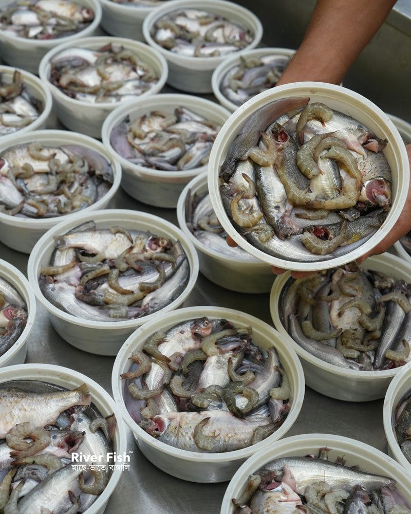 রেডি টু কুক পাঁচমিশালি