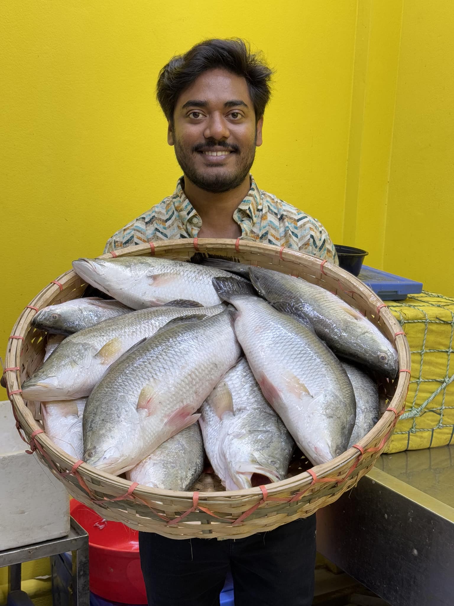 ভেটকি কোরাল ৩ কেজি থেকে ৪ কেজি সাইজ পারকেজি- ১৩২০/-