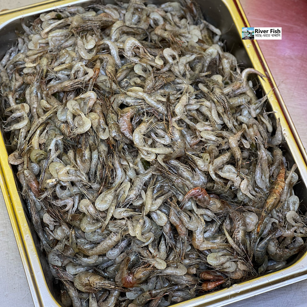 নদীর কালচে চিংড়ি মিক্সড সাইজ