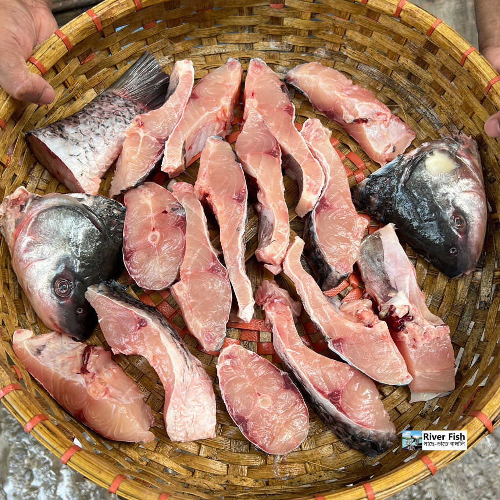 মেঘনা নদীর রুই ৭ কেজি সাইজ পারকেজি ১১৫০/-