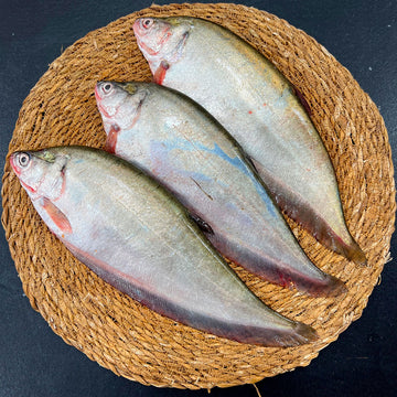 বিলের দেশি মাছ - River Fish