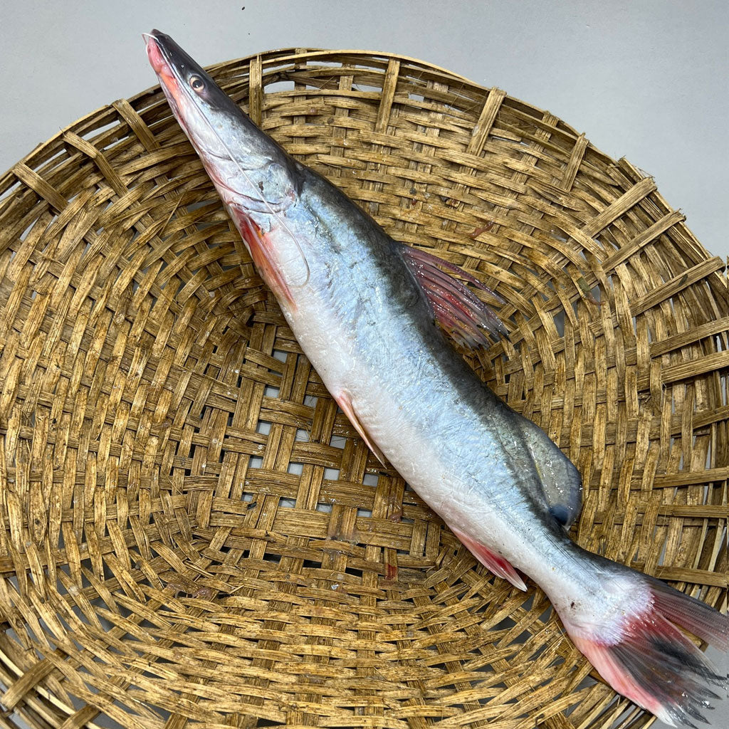 নদীর আইড় মাছ এক কেজি সাইজ পারকেজি