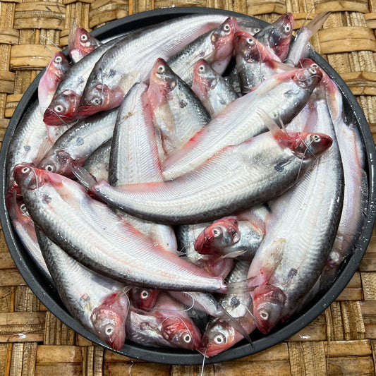 বিলের দেশি মাছ - River Fish