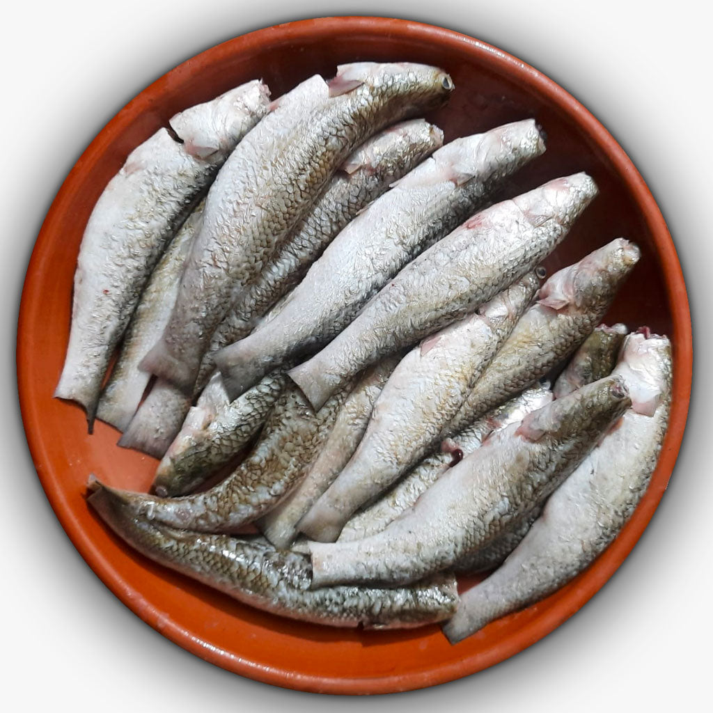 নদীর বাটা/খল্লা বাটা মাছ