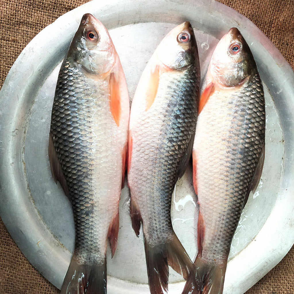 নলা রুই (২ পিসে কেজি)