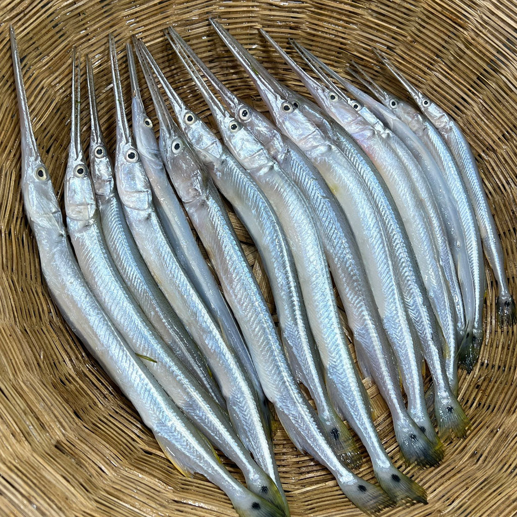 নদীর কাকিলা মাছ - River Fish