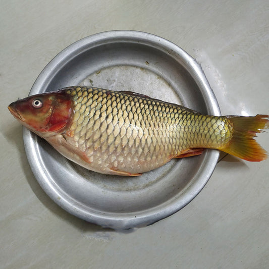 রাজশাহীর কার্ফু মাছ সারে তিন কেজি সাইজ পারকেজি 450৳