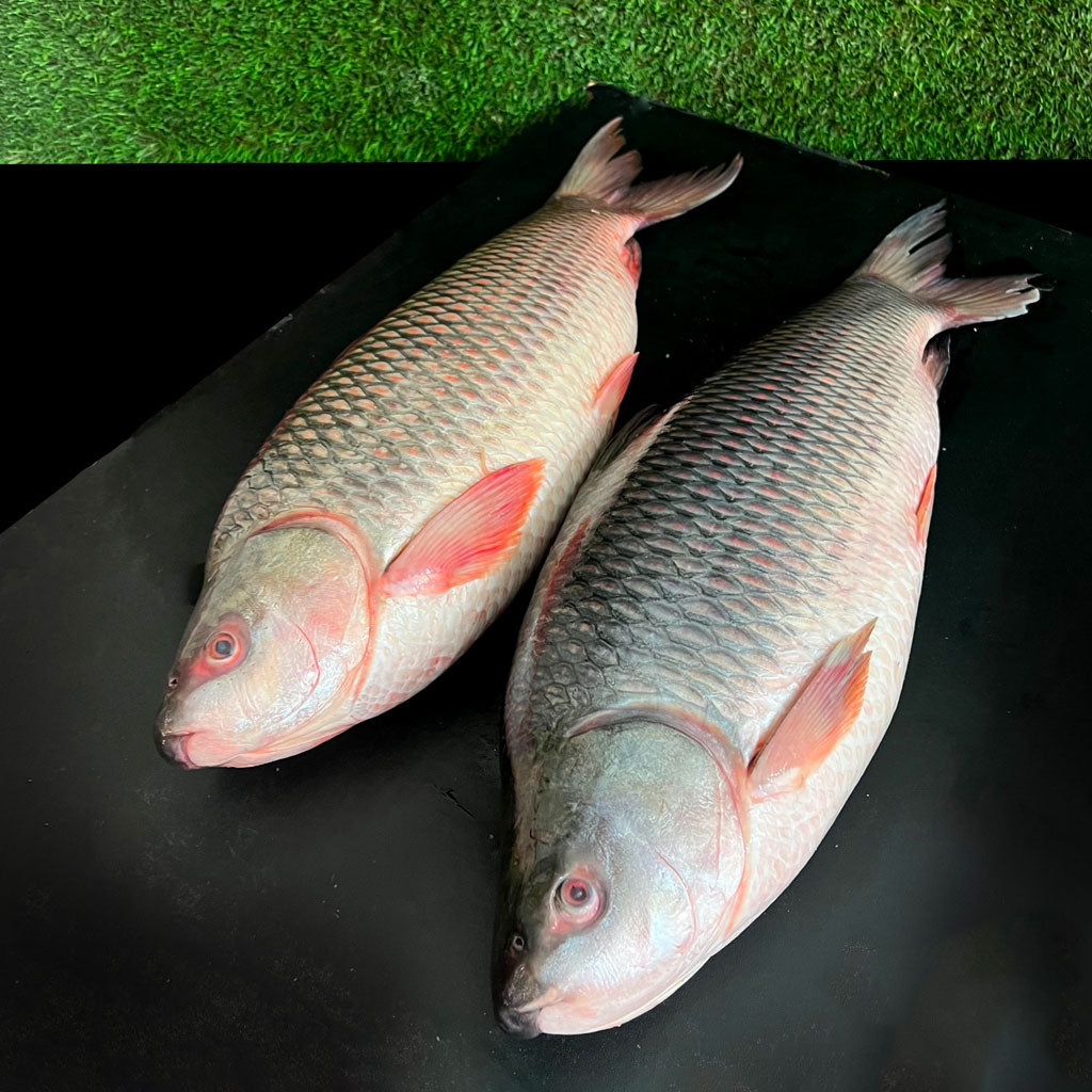 মেঘনা নদীর রুই ৭ কেজি সাইজ পারকেজি ১১৫০/-