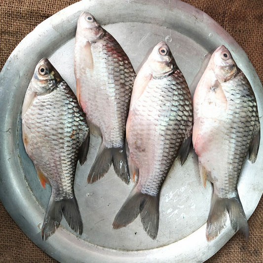 থাই স্বরপুটি মাছ