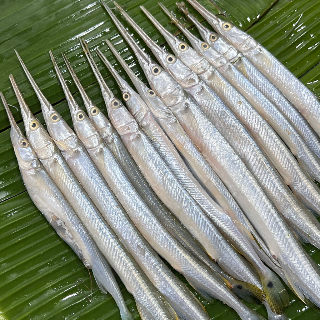 নদীর কাকিলা মাছ - River Fish