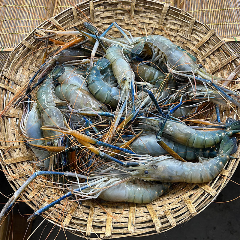 গলদা ১৩/১৫ পিসে কেজি