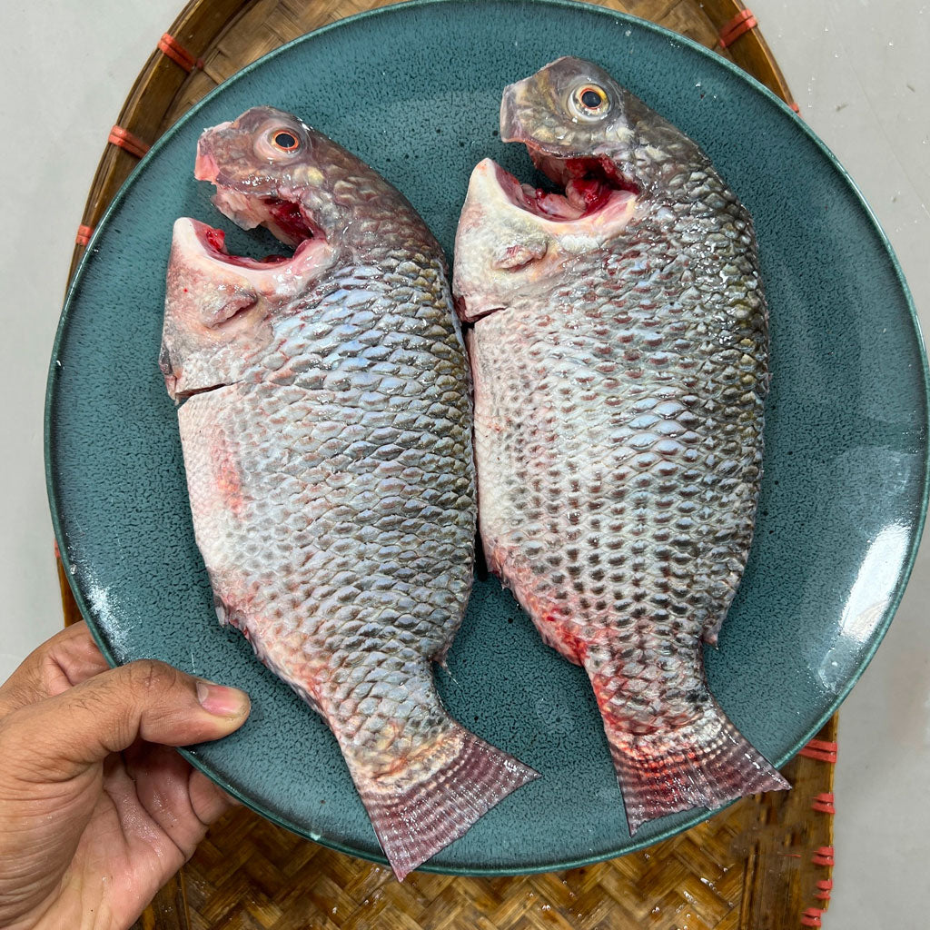 পুকুরের তেলাপিয়া ২/৩ পিসে কেজি